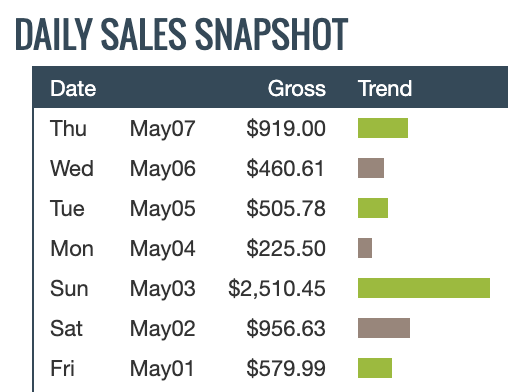 Daily Sales Snapshot